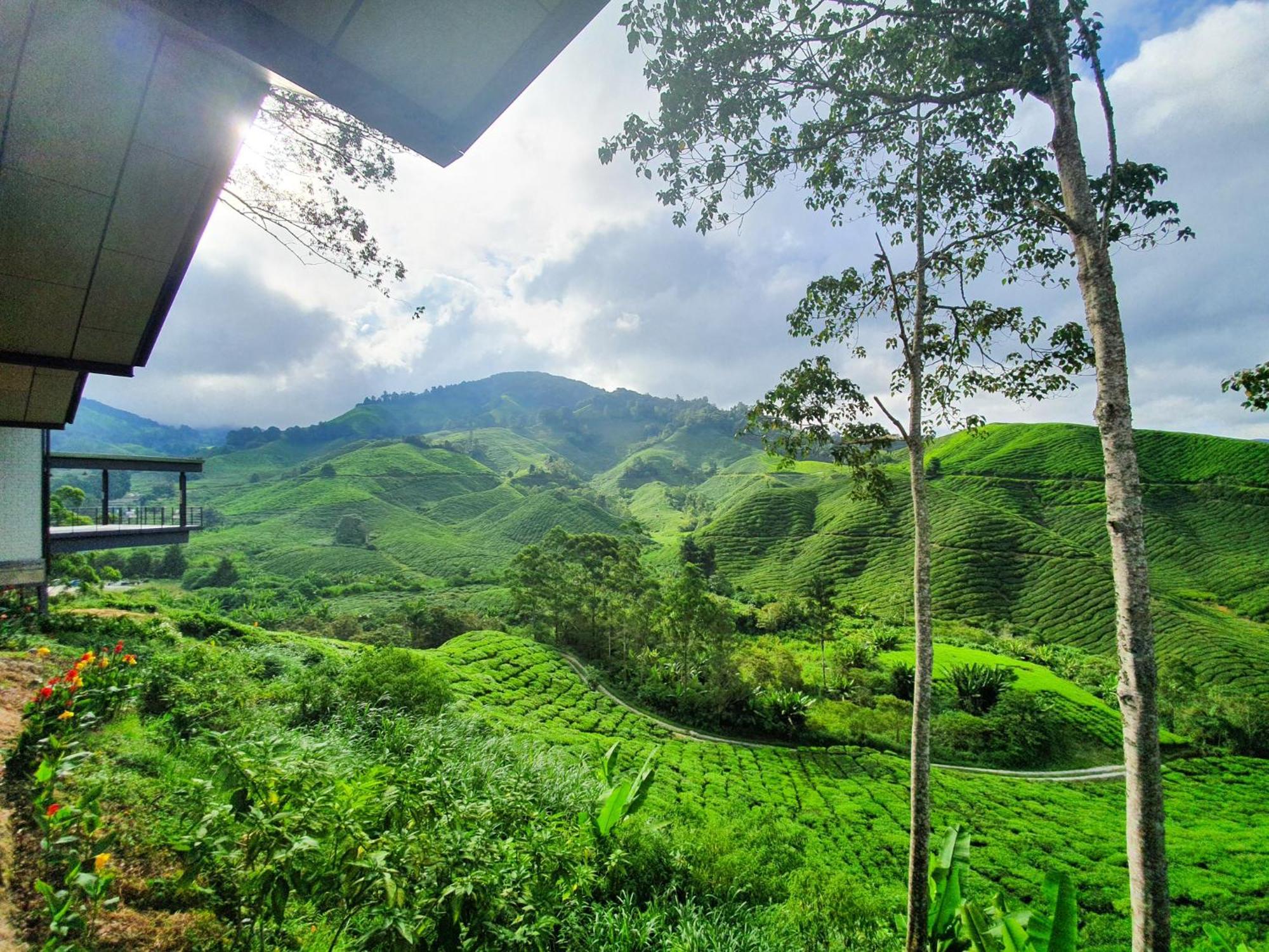 Clocktower 2 Homestay 2-7 Pax At Brinchang, Cameron Highlands Zewnętrze zdjęcie