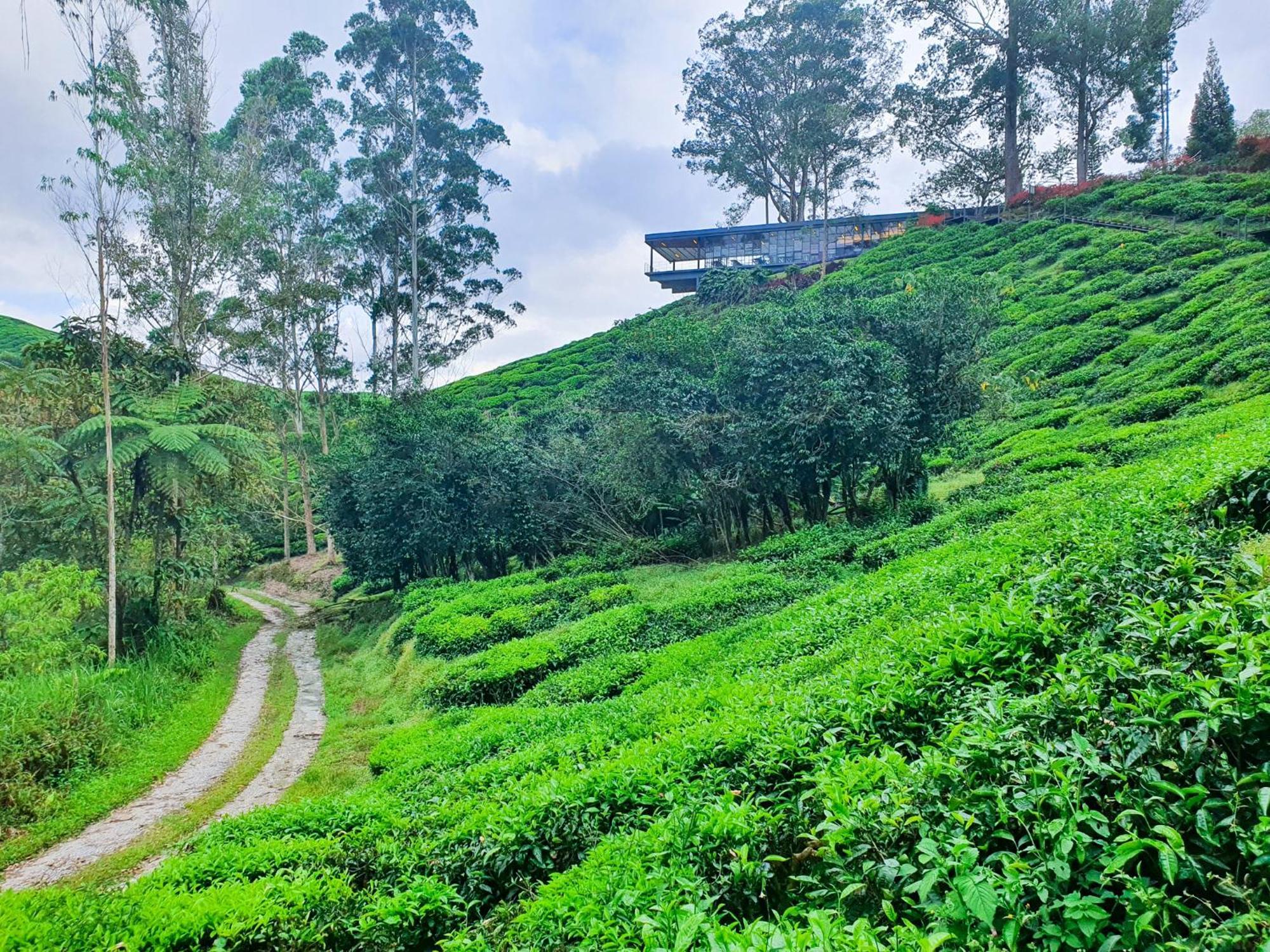 Clocktower 2 Homestay 2-7 Pax At Brinchang, Cameron Highlands Zewnętrze zdjęcie